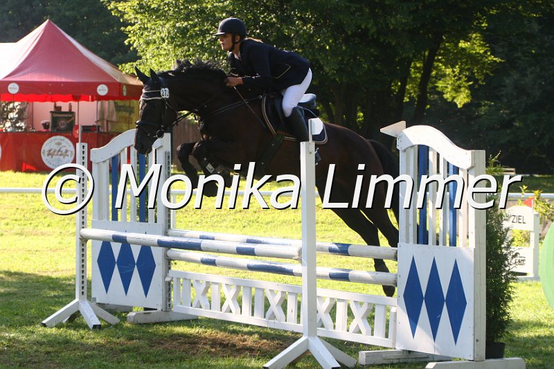 308M1091_Springpferde L.JPG